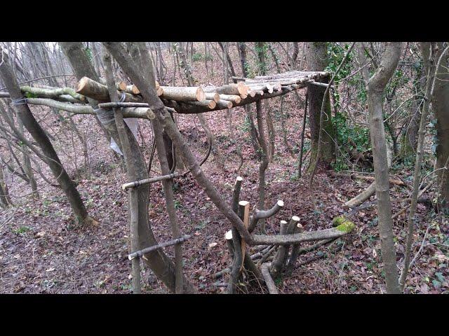 BUILDING TREE SHELTER  RIFUGIO SU ALBERI #1/2.  WOLF  LUPO