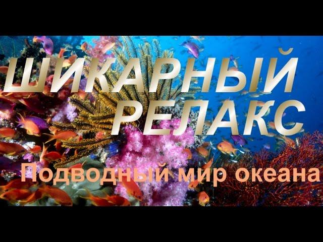 Очень красивая Релакс музыка  + Красота подводного мира