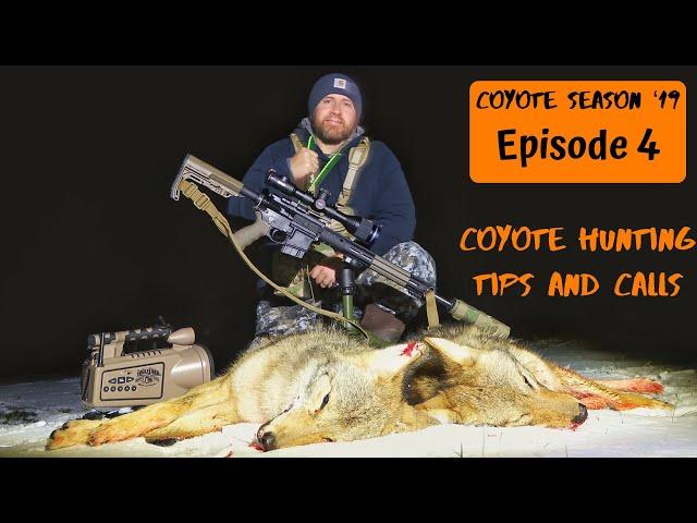 Coyote Hunting Tips and Call Sequences | Using Pulsar Thermion