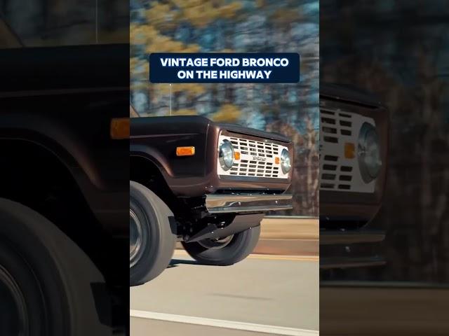 Classic Ford Bronco In The Wild!