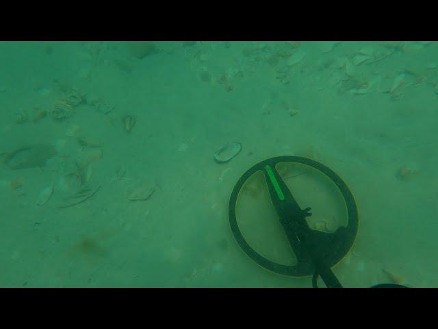 My most unbelievable ring return yet!!! Underwater metal detecting with the Blu3 Nemo