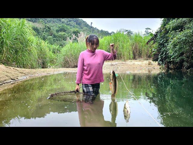 Fishing skills, trapping fish with shrimp bait - Daily life Thuy