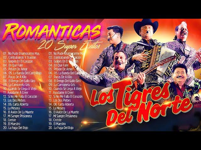 Los Tigres Del Norte Exitos Mix 2024 - Los Tigres Del Norte Sus Mejores Canciones