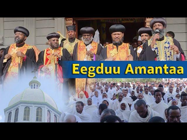 EOTC TV | Oromifa Progeram | Eegduu Amantaa Solomon