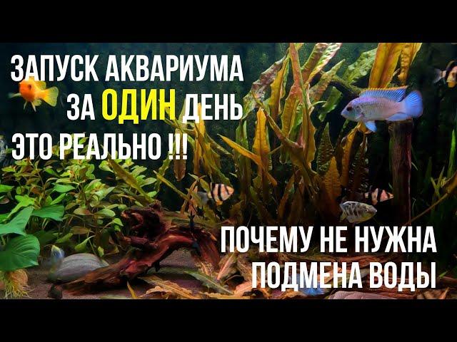 Как БЫСТРО ЗАПУСТИТЬ АКВАРИУМ, Без Вреда для Рыбок и Дополнительных Финансовых Трат