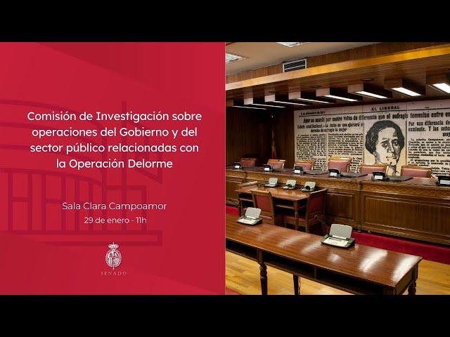 Comisión de Investigación trama Delorme - 29 de enero de 2025 - 11 horas