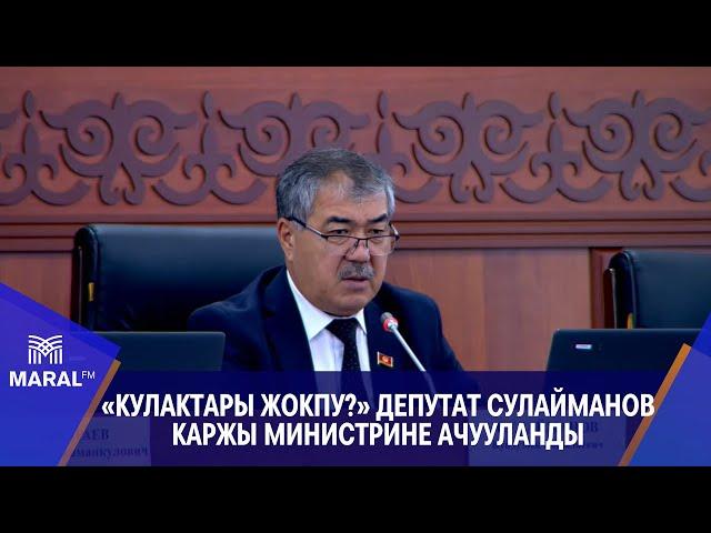 «Кулактары жокпу?» Депутат Сулайманов каржы министрине ачууланды