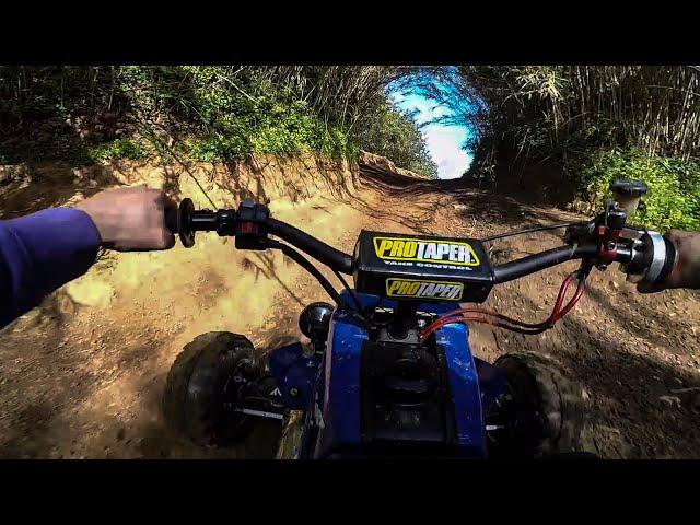 YAMAHA BANSHEE 350 FULL SPEED SHREDDING️️️ - Adventure Trail Riding Gopro Onboard