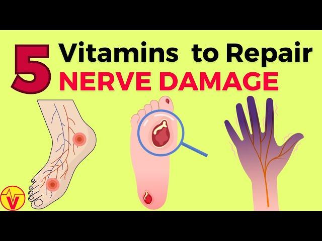 5 Vitamins For Nerve Damage Repair | Vitamins for Neuropathy | VisitJoy