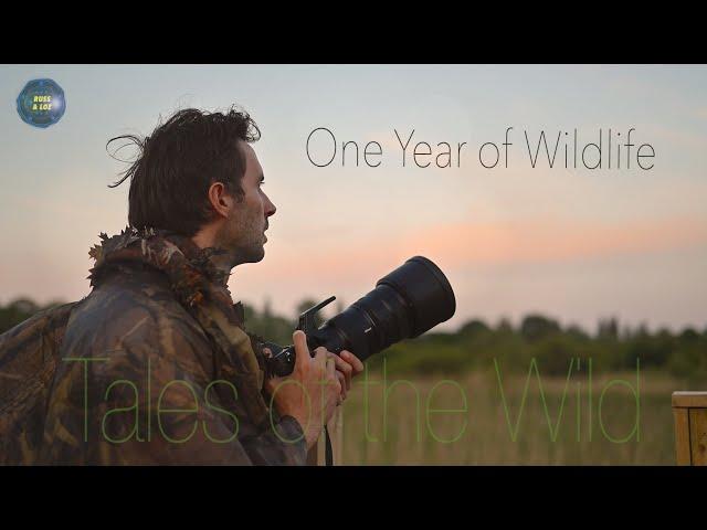 One Year of Wildlife - Tales of the Wild