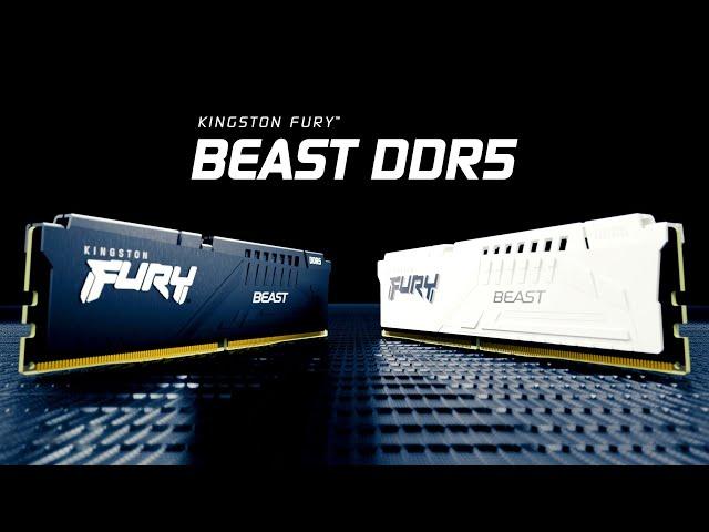 DDR5 RGB-Speicher mit Geschwindigkeiten von bis zu 6000MT/s – Kingston FURY Beast DDR5