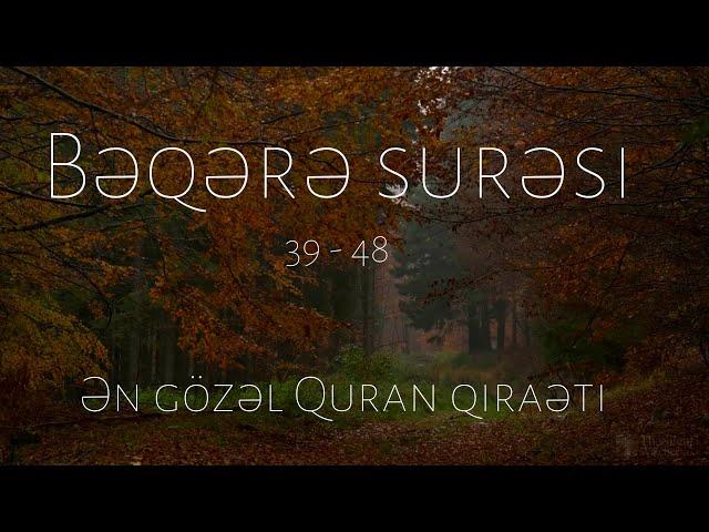 Ən gözəl Quran qiraəti | Bəqərə surəsi 39 - 48 Sami al Kurdy | سورة البقرة