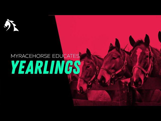 Behind-The-Scenes at Keeneland Yearling Sales 2020