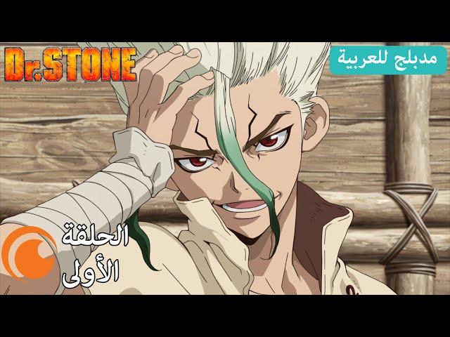 Dr. STONE الحلقة الأولى كاملة مدبلجة للعربية