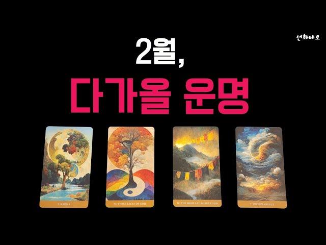 [타로 I 2월] 2월, 내게 다가 올 운명 (2월 종합운)