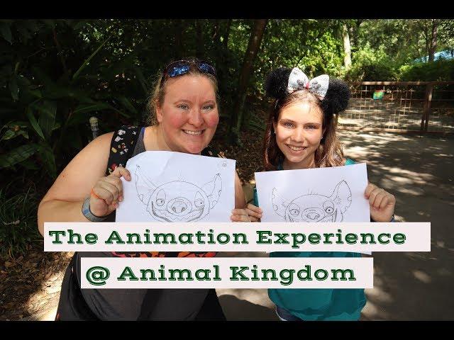 Animation Experience Animal Kingdom