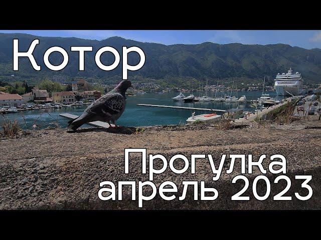 Котор, самая узкая улица, прогулка апрель 2023