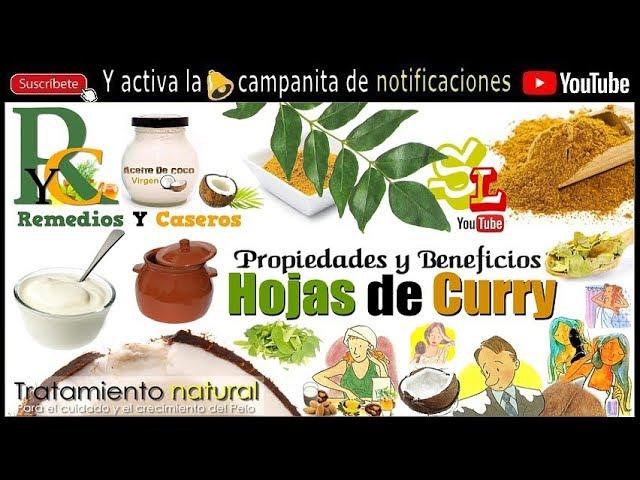  Las hojas de Curry, hacen crecer tu cabello, lo repara y evitan su caída, Tratamiento natural.