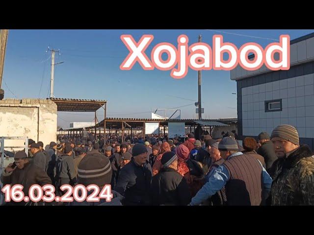 Andijon viloyati Xojabod xayvon bozori faqat sotilganlari.16.03.2024..#tezkor #xabarlar