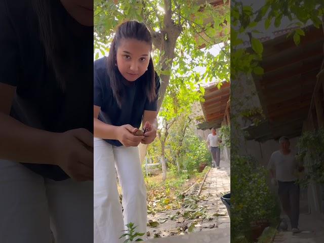 Нурайым Акылбекова #song #shorts #той