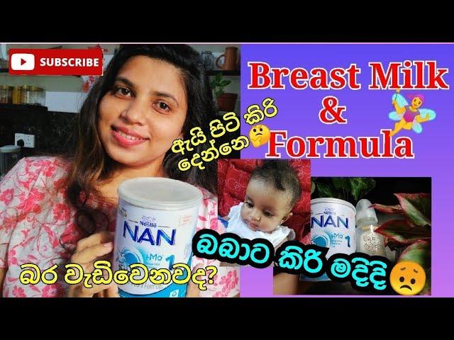 බබාට කිරි මදිදHow to make formula milk for baby#nangrow#motherhood #formula1 #nan1#babygirl#feed#