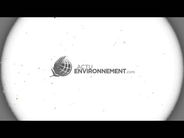 Actu-Environnement : tour l'actualité professionnelle du secteur de l'Environnement