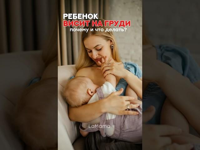 Висит на груди Что делать? Читай описание #воспитаниедетей #грудноевскармливание #гв
