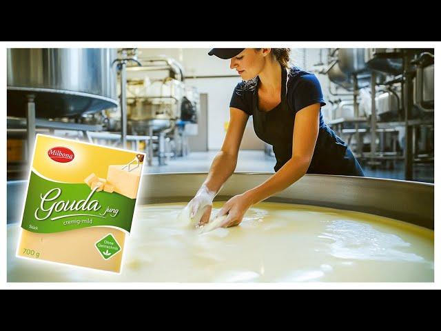 Wie Gouda In Der Fabrik Hergestellt Wird