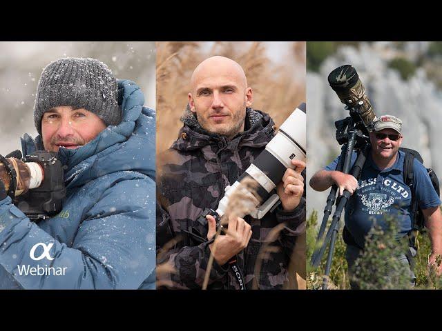 Shooting wildlife with Sony