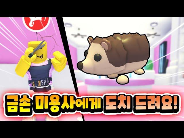 [입양하세요] 빵구들의 펫 염색하기 대결! 최고의 미용사는?