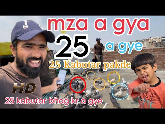 25 kabutar pakde,  a gye bhag kr mere | Zabardast ladaiyya zohan bhai ka shok |@sahilkhanvlog