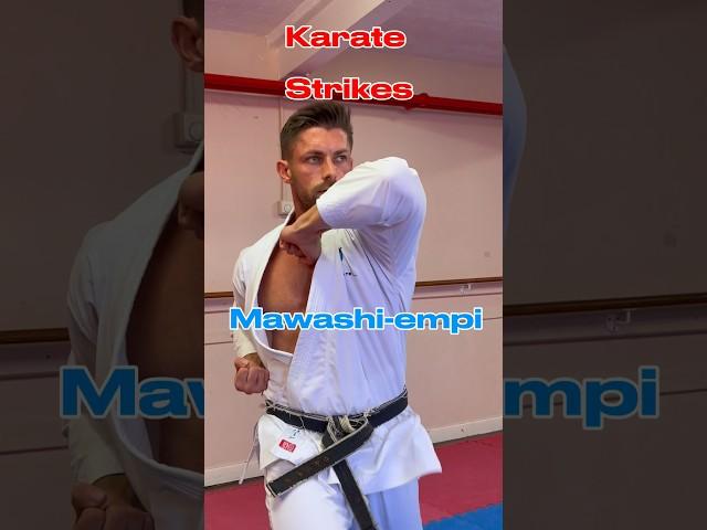 Karate Striking techniques  #shotokan #martialarts #karate