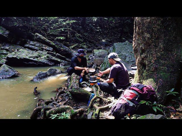 Camping di hutan belantara, hiking, trip video bersama teman