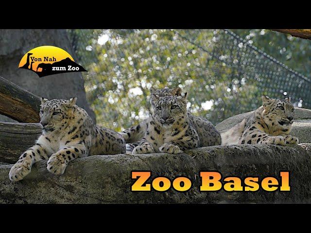 Zoo Basel - nach 150 Jahren immer noch modern? - Von Nah zum Zoo 4k