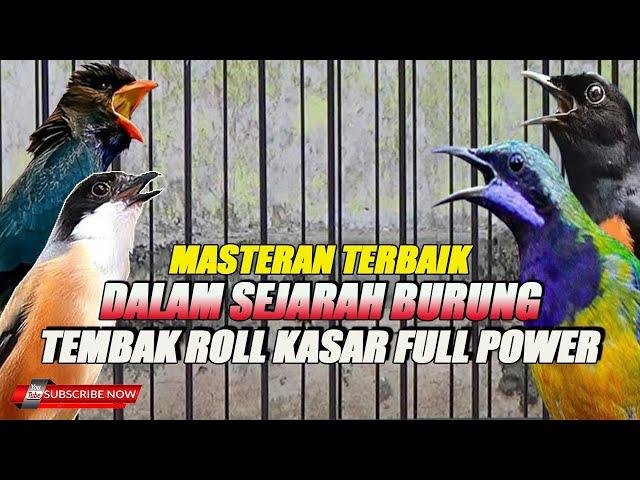 MASTERAN TERBAIK SEPANJANG MASA ROLL NEMBAK KASAR TAJAM POWER ++ KOMPLIT