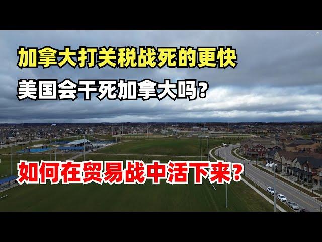 加拿大与美国打关税战死的更快，美国会干死加拿大吗？美国能吞并加拿大吗？加拿大人如何在贸易战中活下来？