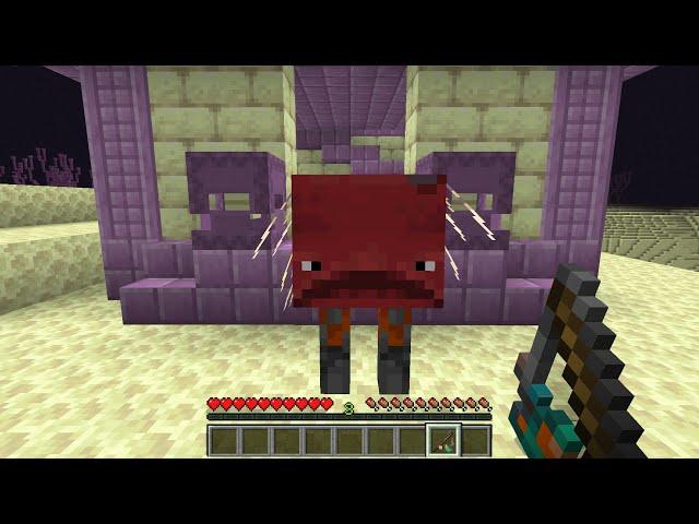 This is the RAREST Minecraft Screenshot