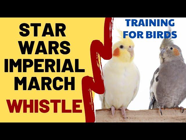 STAR WARS IMPERIAL MARCH with WHISTLE - Whistling Songs For Birds Cockatiels Parrots Budgies