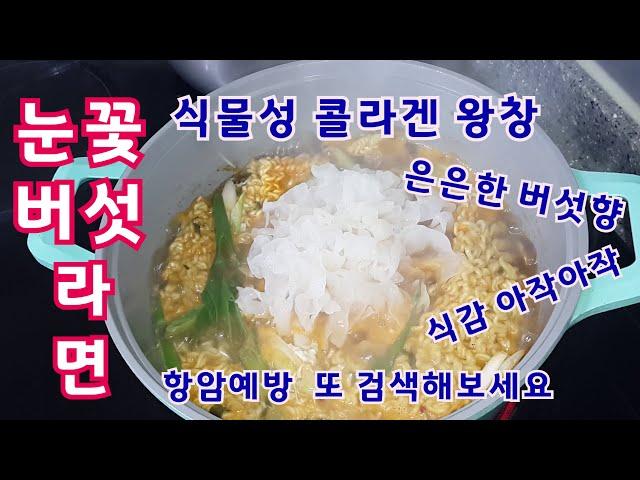 태기산 산적 눈꽃버섯으로 라면 끓여 먹기#식물성 콜라겐#눈꽃버섯#꽃송이버섯#눈꽃송이버섯#녹각영지#라면#버섯라면#
