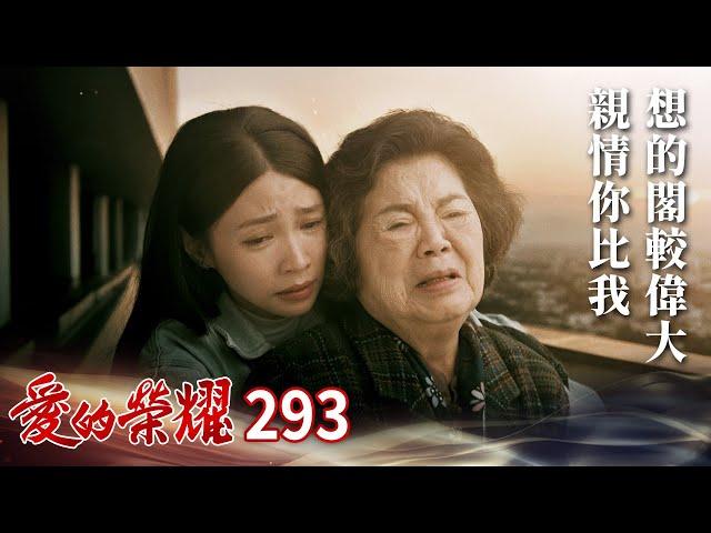 愛的榮耀 EP293 親情你比我想的閣較偉大｜Glory of Love