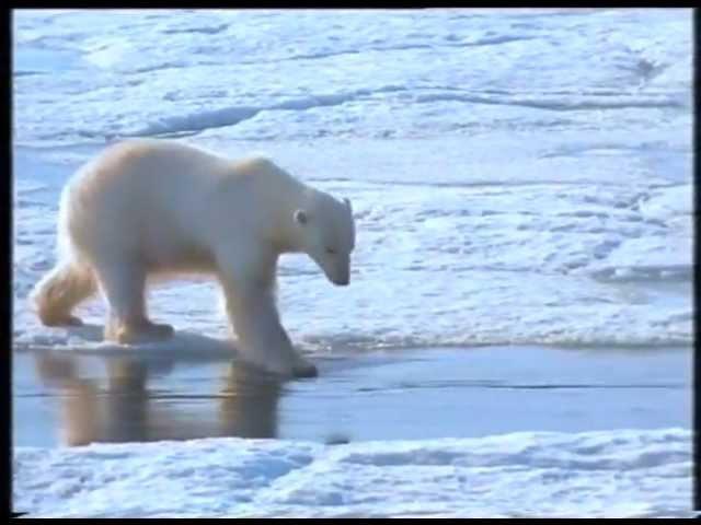 Swedish Polar Research Institute - Johan Ernst Production