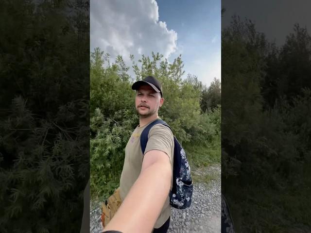 Рыбацкие будни.