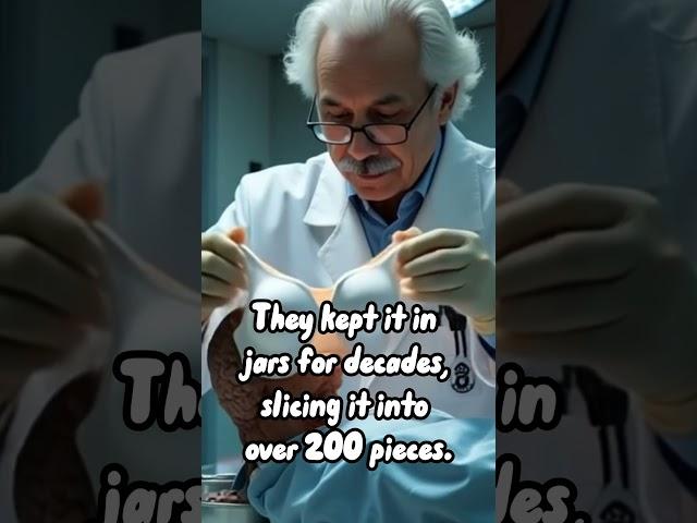 Einstein’s Brain Was Stolen #psychologyfacts #facts #mindblown #short