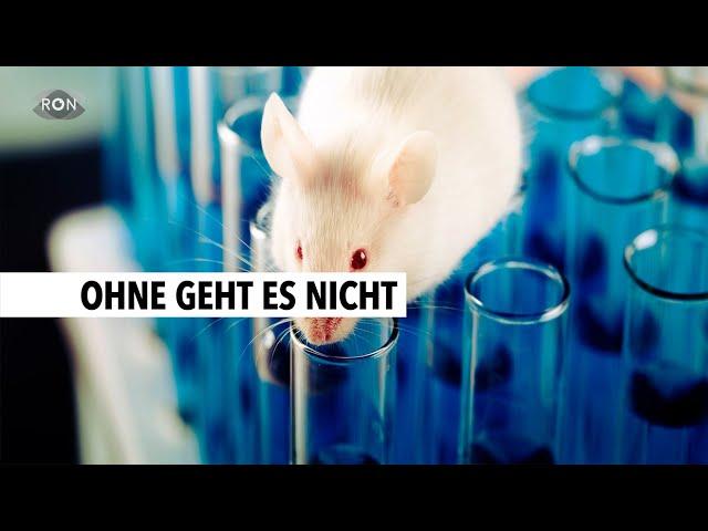 Tierversuche für die Krebsforschung | RON TV