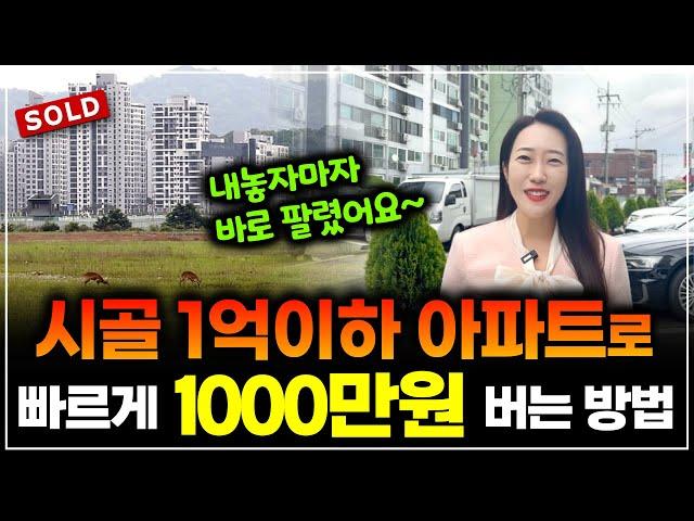 시골 1억 이하 소액 아파트로 '빠르게' 1000만원 버는 방법! 부동산 경매 왕초보 소액님에게 '직접' 들어보세요! l 월세모닝콜TV 세연쌤