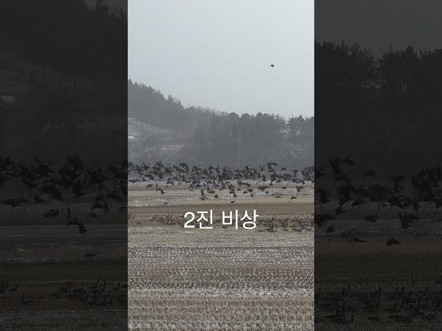 일진 먼저