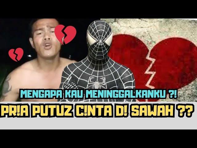 Mengapa kau meninggalkanku viral, putus cinta di sawah viral tiktok ??