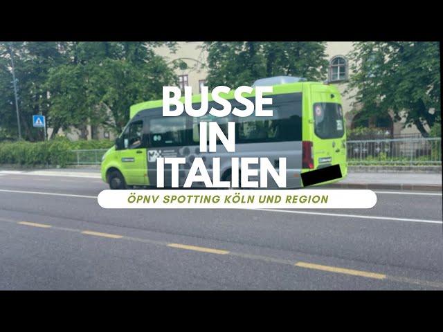 Busse in Italien (sehr gute Qualität)