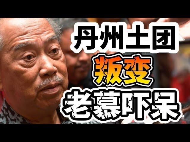 土团内乱加剧！丹州土团竟然推荐伊党上阵话望生国会补选！28/06/2024