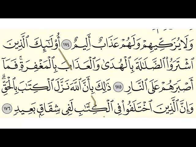 Surah Baqarah, Verses 170-176 سورۃ البقرۃ #Lesson31. Learn Quran with Tajweed